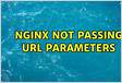 Nginx proxypass all url parameters